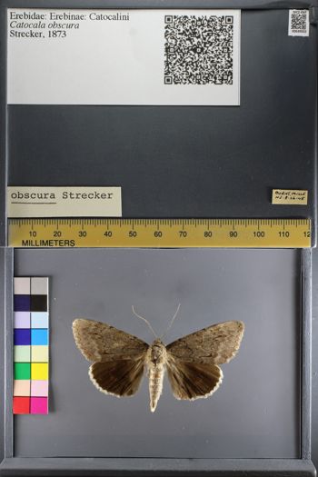 Media type: image;   Entomology 639502